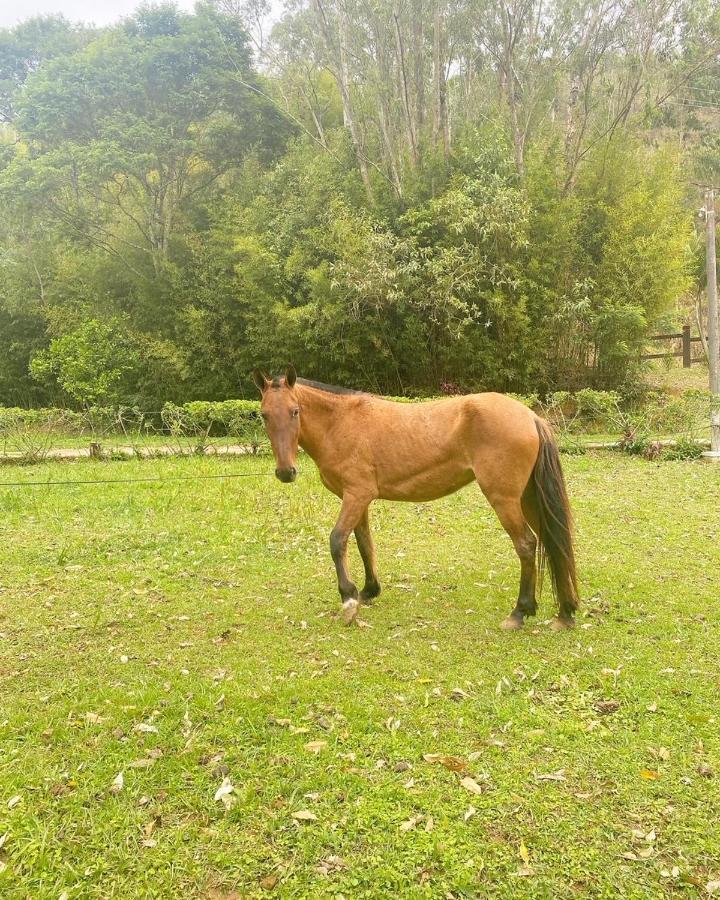Hotel Fazenda Bonanza Engenheiro Paulo de Frontin Eksteriør bilde